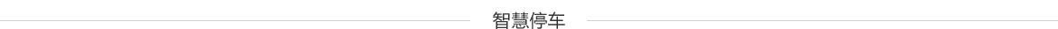 智慧停車
